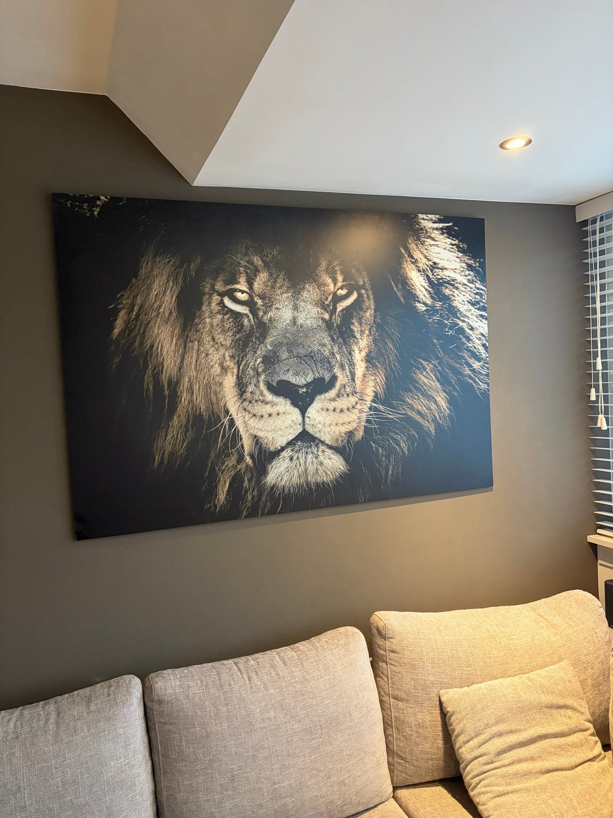 Indrukwekkende Leeuwenprint - Groot Formaat, Ophalen, 50 – 75, 100 tot 125 cm, Print