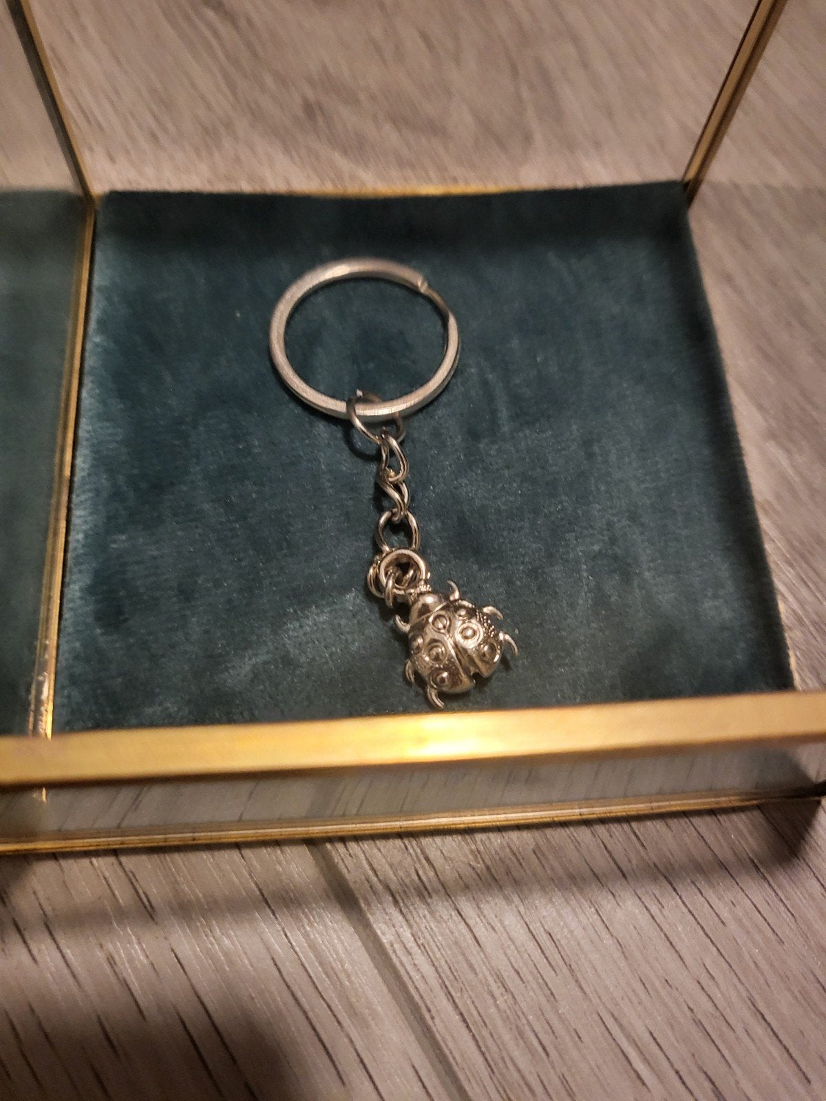 Nieuwe lieveheersbeestje sleutelhanger, Ophalen of Verzenden, Nieuw, Dier of Natuur