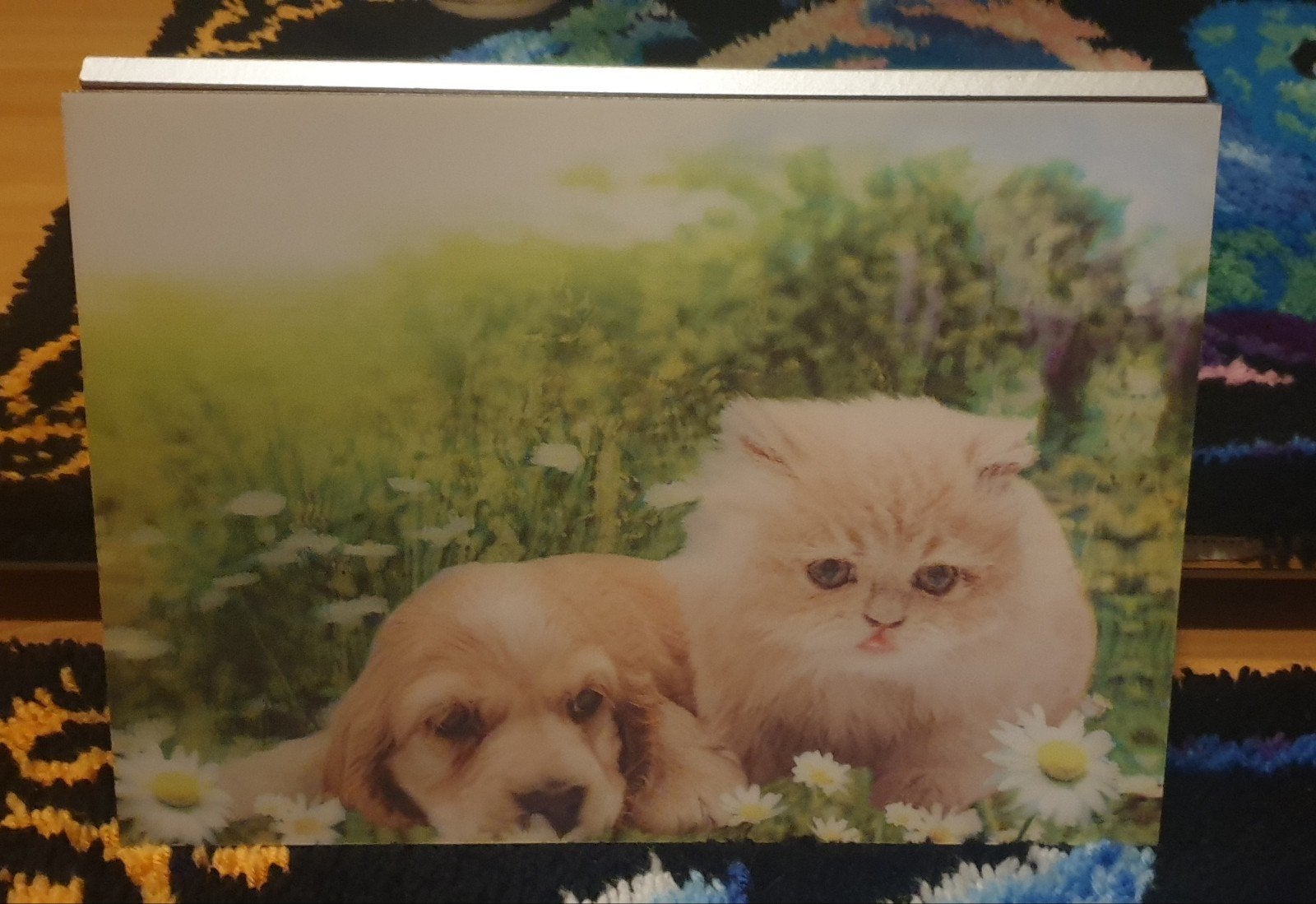 Wanddecoratie met schattige puppy en kitten, Ophalen of Verzenden, Gebruikt, Meerkleurig, Hout