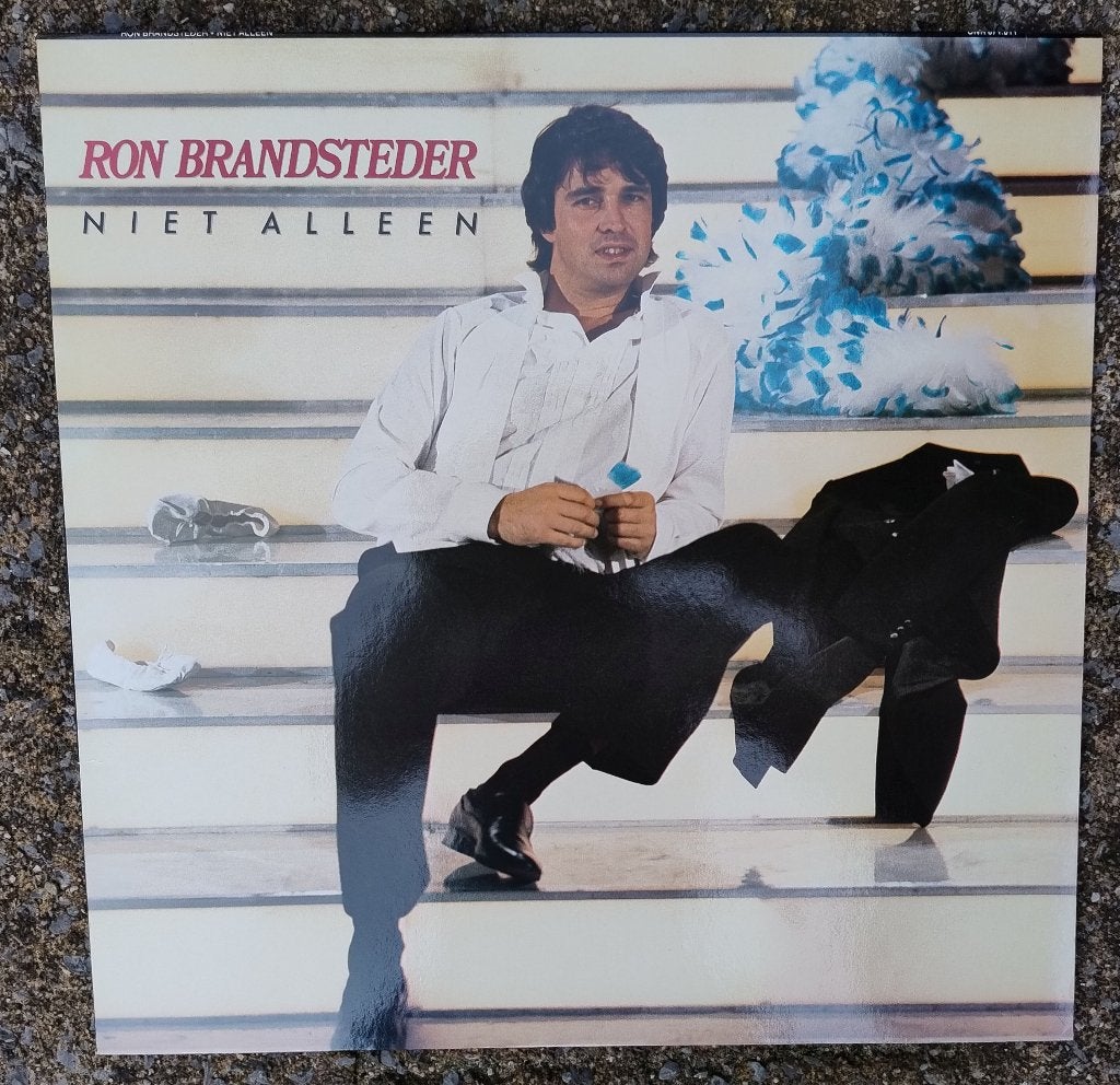 Zeldzame LP RON BRANDSTEDER niet alleen, Cd's en Dvd's, Ophalen of Verzenden, Zo goed als nieuw, 12 inch, Levenslied of Smartlap