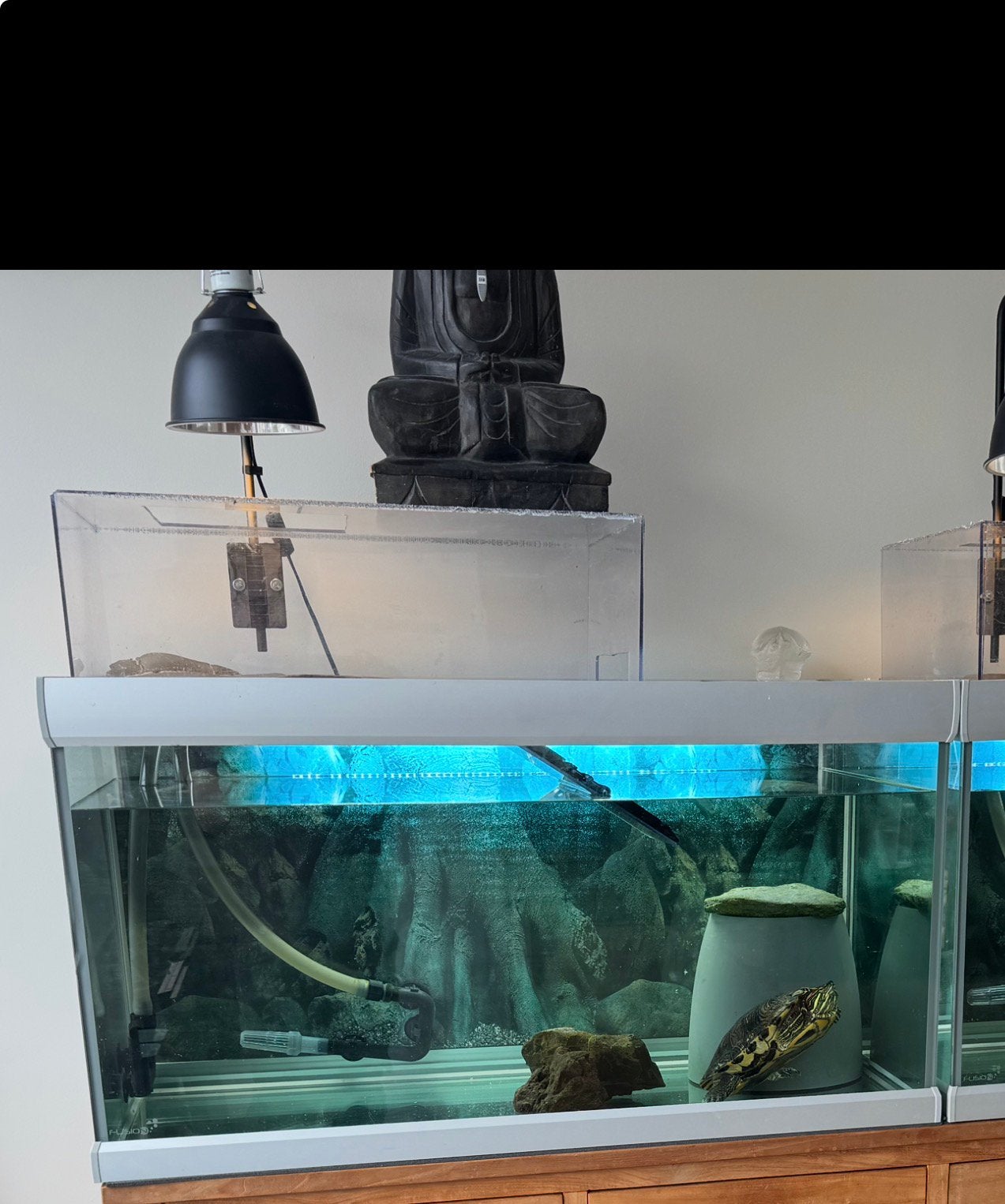 Aquarium voor schildpad compleet, Ophalen, Zo goed als nieuw