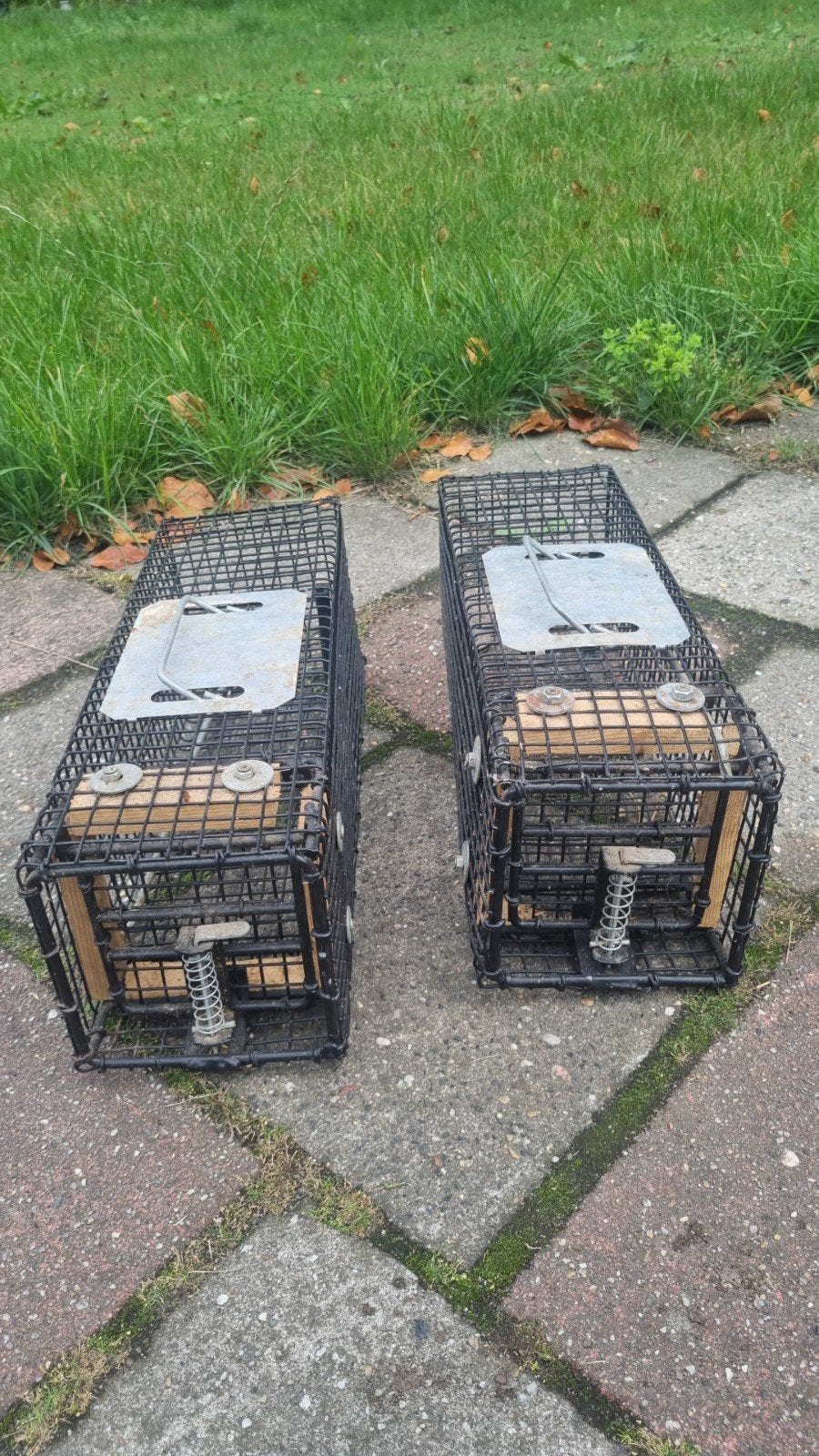 2x Vangkooi voor meerdere ratten Diervriendelijk & effectief, Dieren en Toebehoren, Ophalen of Verzenden, Zo goed als nieuw, Aluminium