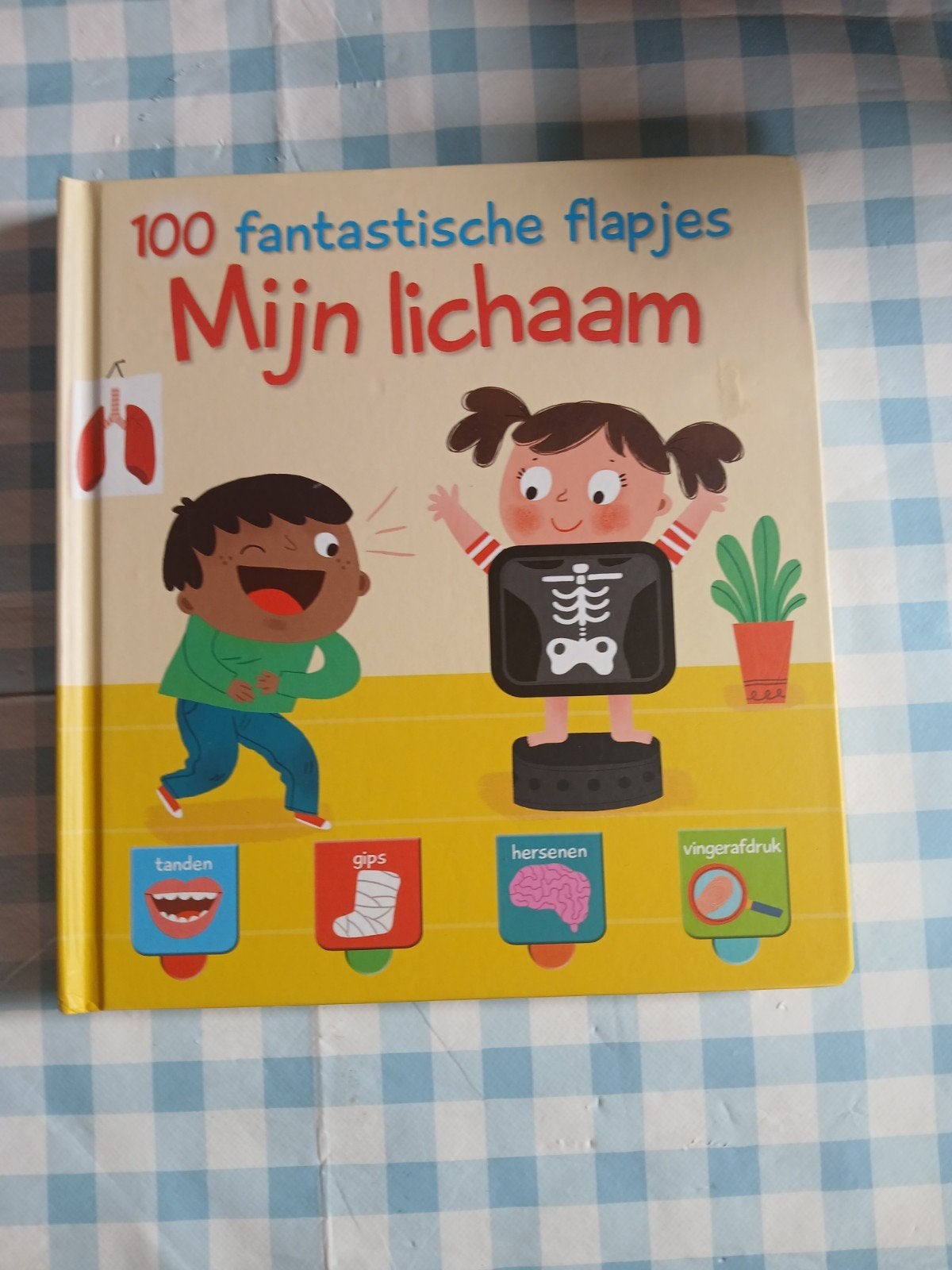 100 fantastische flapjes: Mijn lichaam, Boeken, Ophalen of Verzenden, Zo goed als nieuw, Uitklap-, Voel- of Ontdekboek, 2 tot 3 jaar