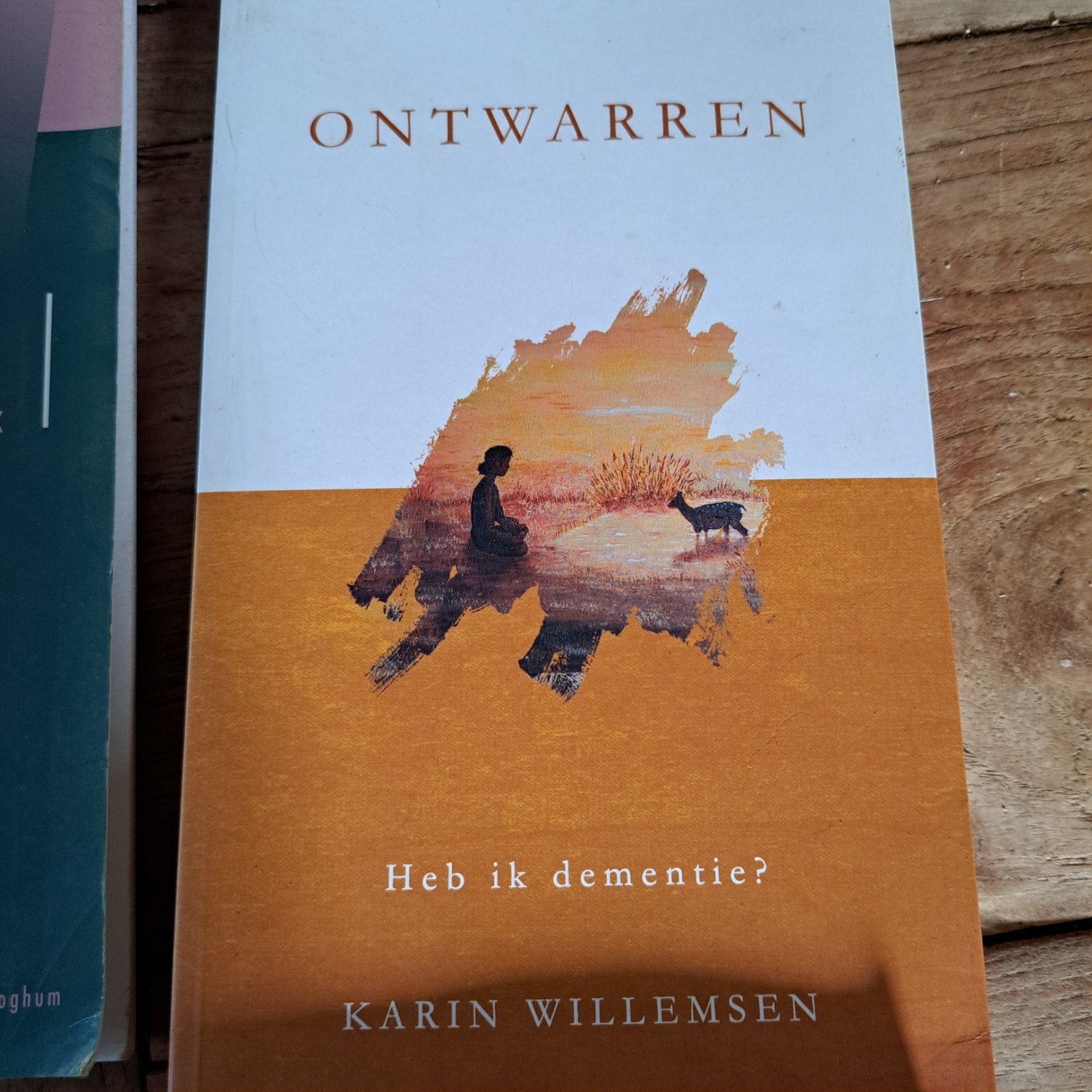 Ontwarren: Heb ik dementie? - Karin Willemsen, Boeken, Ophalen of Verzenden, Zo goed als nieuw, Ziekte en Allergie, Karin Willemsen