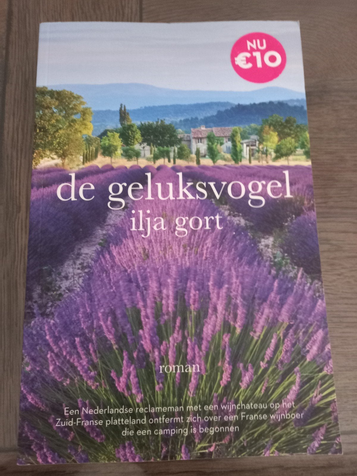 Ilja Gort - De geluksvogel 3, Ophalen of Verzenden, Zo goed als nieuw, Nederland, Ilja Gort