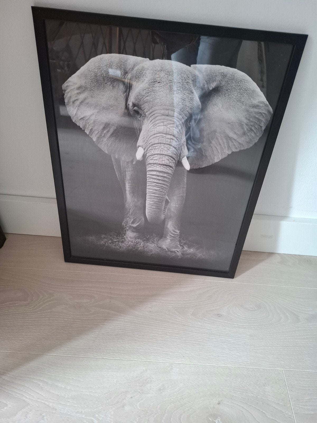 Ingelijste olifantenfoto - Zwart-wit, 50 – 75, Ophalen of Verzenden, Zo goed als nieuw, Foto of Poster