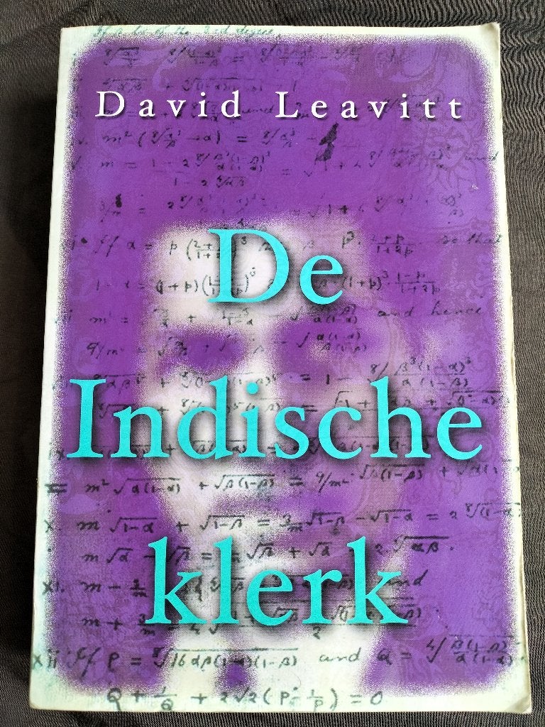 David Leavitt - De Indische klerk, Boeken, Historische romans, Zo goed als nieuw, Ophalen of Verzenden
