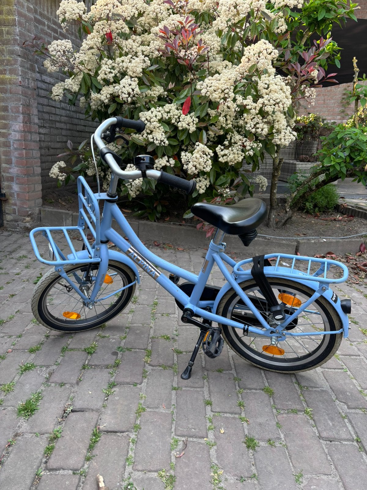 Alpina fiets 16 inch, Ophalen, Terugtraprem, 16 inch, Handrem