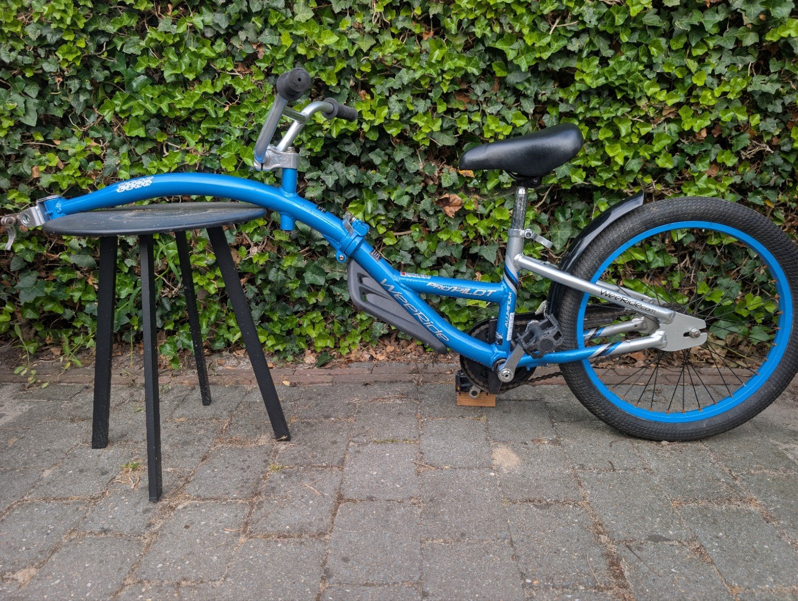 WeeRide Co-Pilot fietsaanhanger voor kinderen, Ophalen, Gebruikt, Overige merken