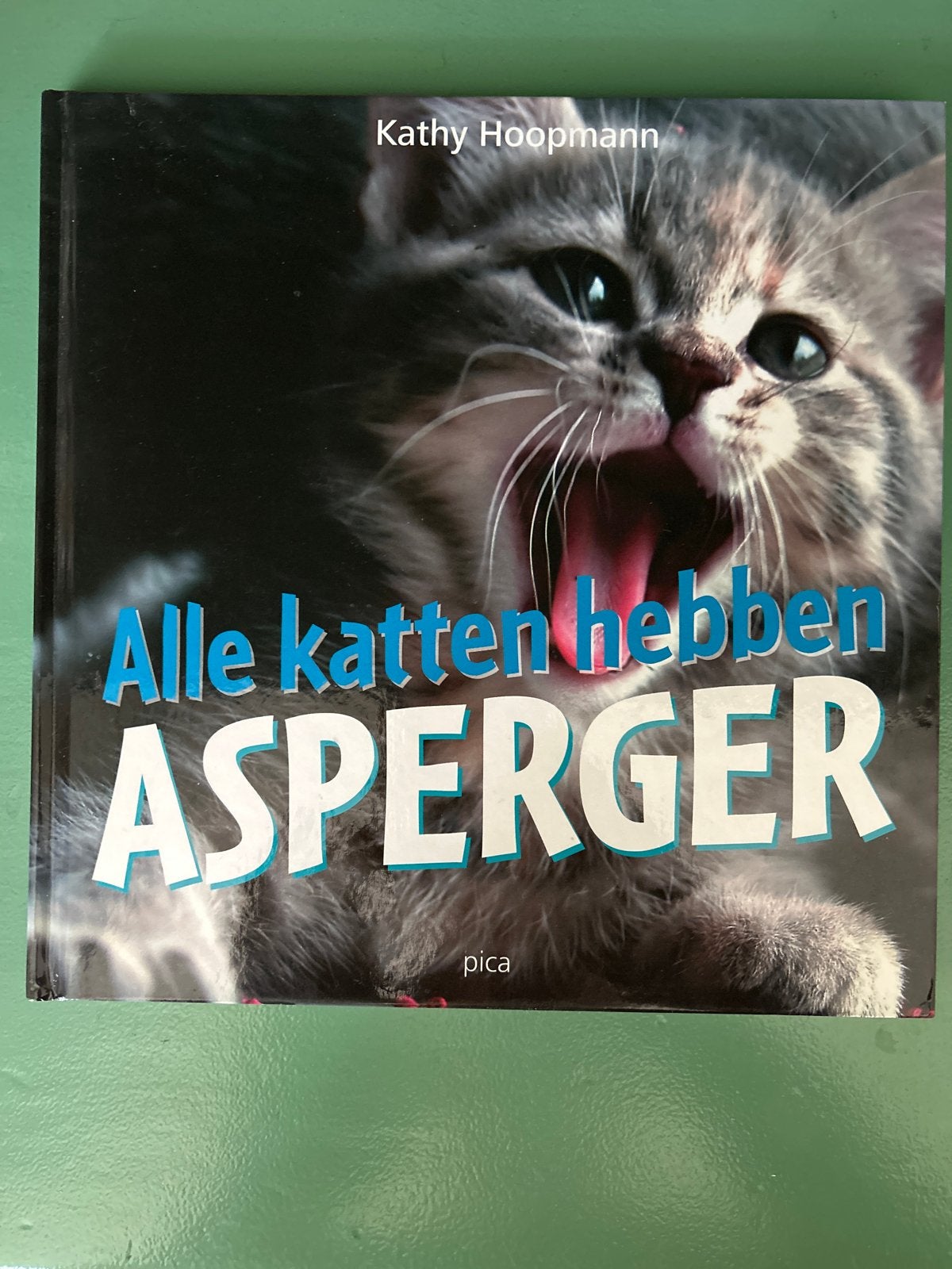K. Hoopmann - Alle katten hebben Asperger, Boeken, Ophalen of Verzenden, Zo goed als nieuw, K. Hoopmann