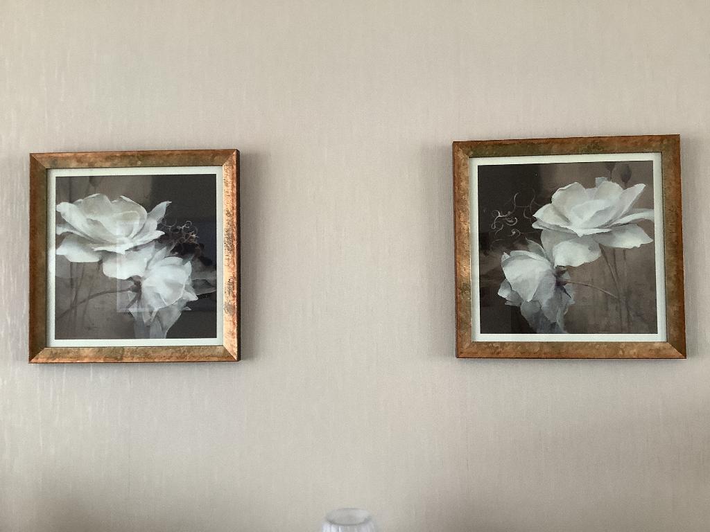 2 schilderijen 35 cm en 35cm, Antiek en Kunst, Ophalen of Verzenden