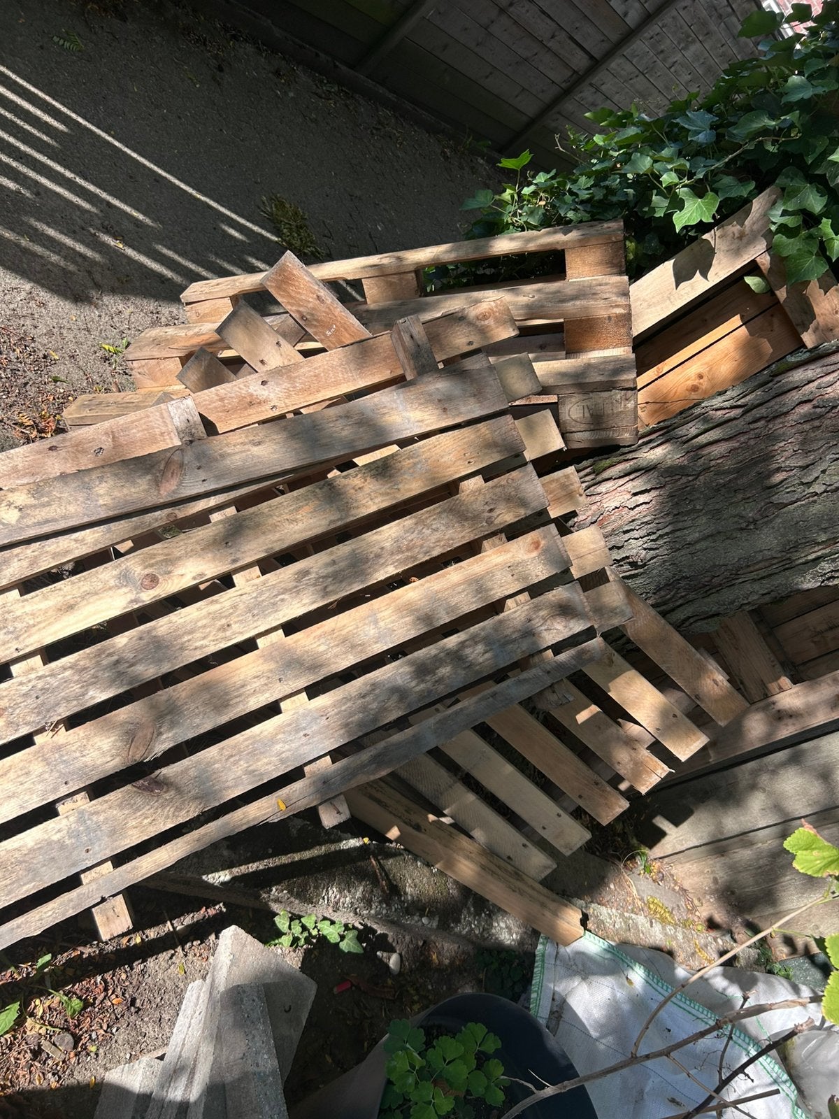 5 houten pallets, Minder dan 3 m³, Ophalen, Overige houtsoorten