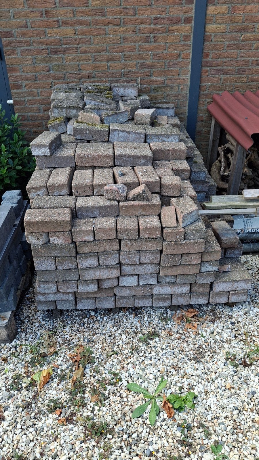 Gratis klinkers, ongeveer 1,5 pallet, Ophalen, Nieuw, Beton, Klinkers