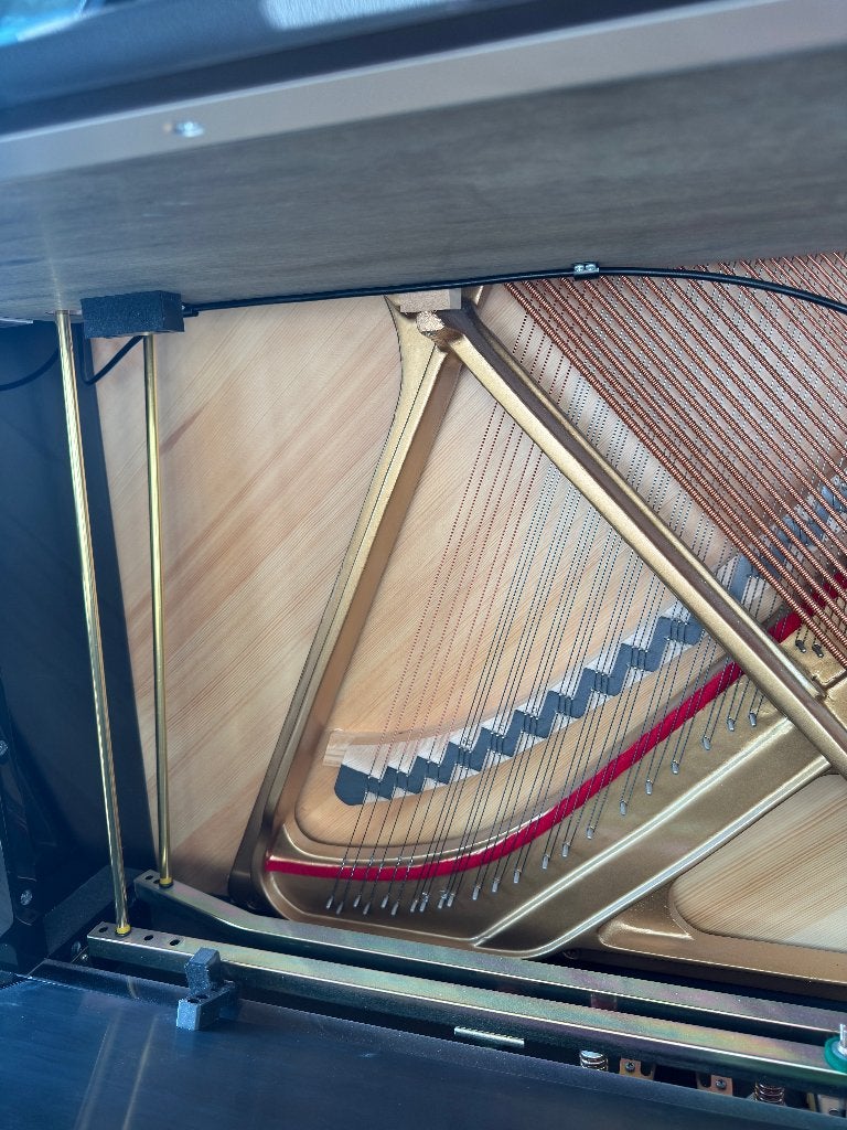 Foto 10 van Wilh. Steinberg P118 (piano zwart hoogglans)