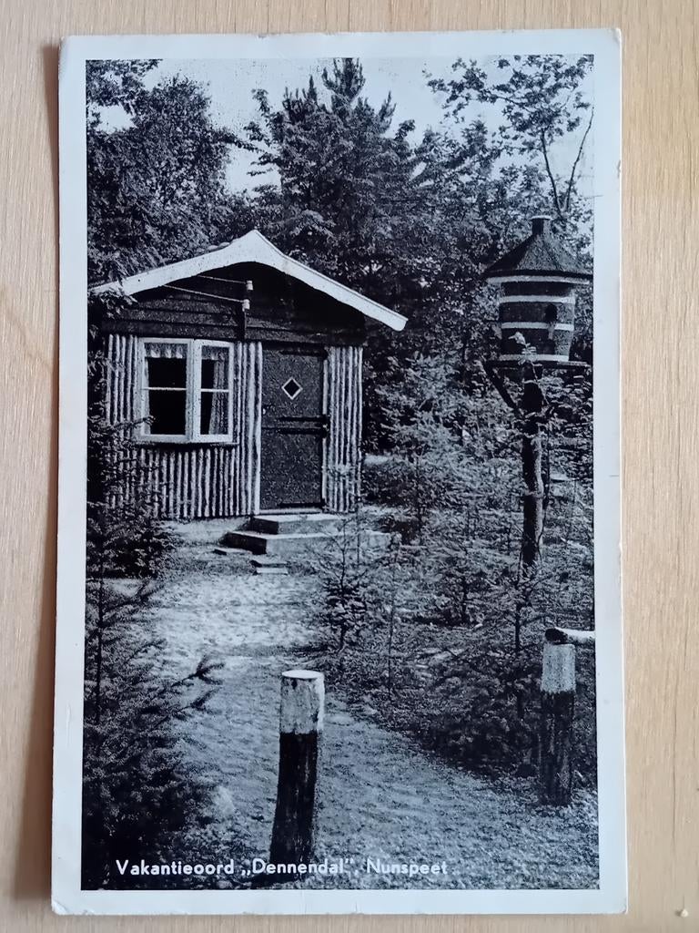 Ansichtkaart Nunspeet, Ophalen of Verzenden, Gelderland