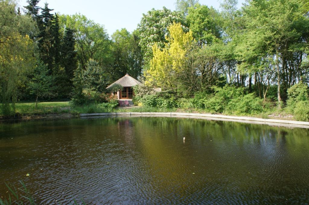 Huisje Veluwe Otterlo Natuurhuisje Vijver Bos Hond is welkom, Vakantie, Tv, In bos, Landelijk, Gelderland en Veluwe