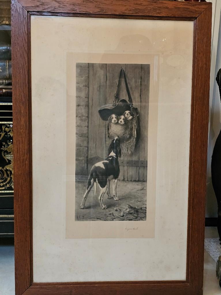 Antieke gravure van een jachthond met puppy's Marcel Moisand, Ophalen