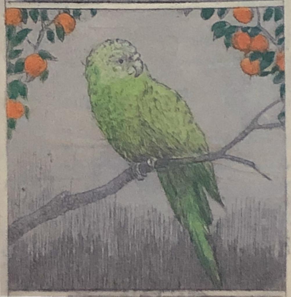 Mooie, betaalbare kunst v/h Grafiekkabinet Maria Wüst, Antiek en Kunst, Kunst | Etsen en Gravures, Ophalen of Verzenden