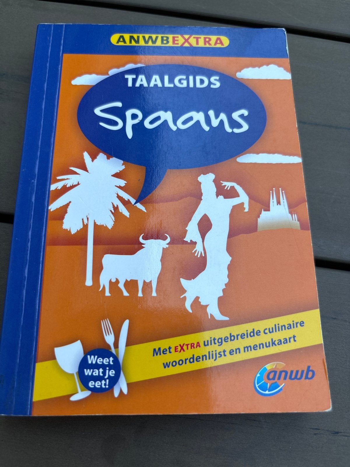 ANWB Extra Taalgids Spaans - Leer Spaans voor op reis!, Ophalen of Verzenden, Zo goed als nieuw, Non-fictie