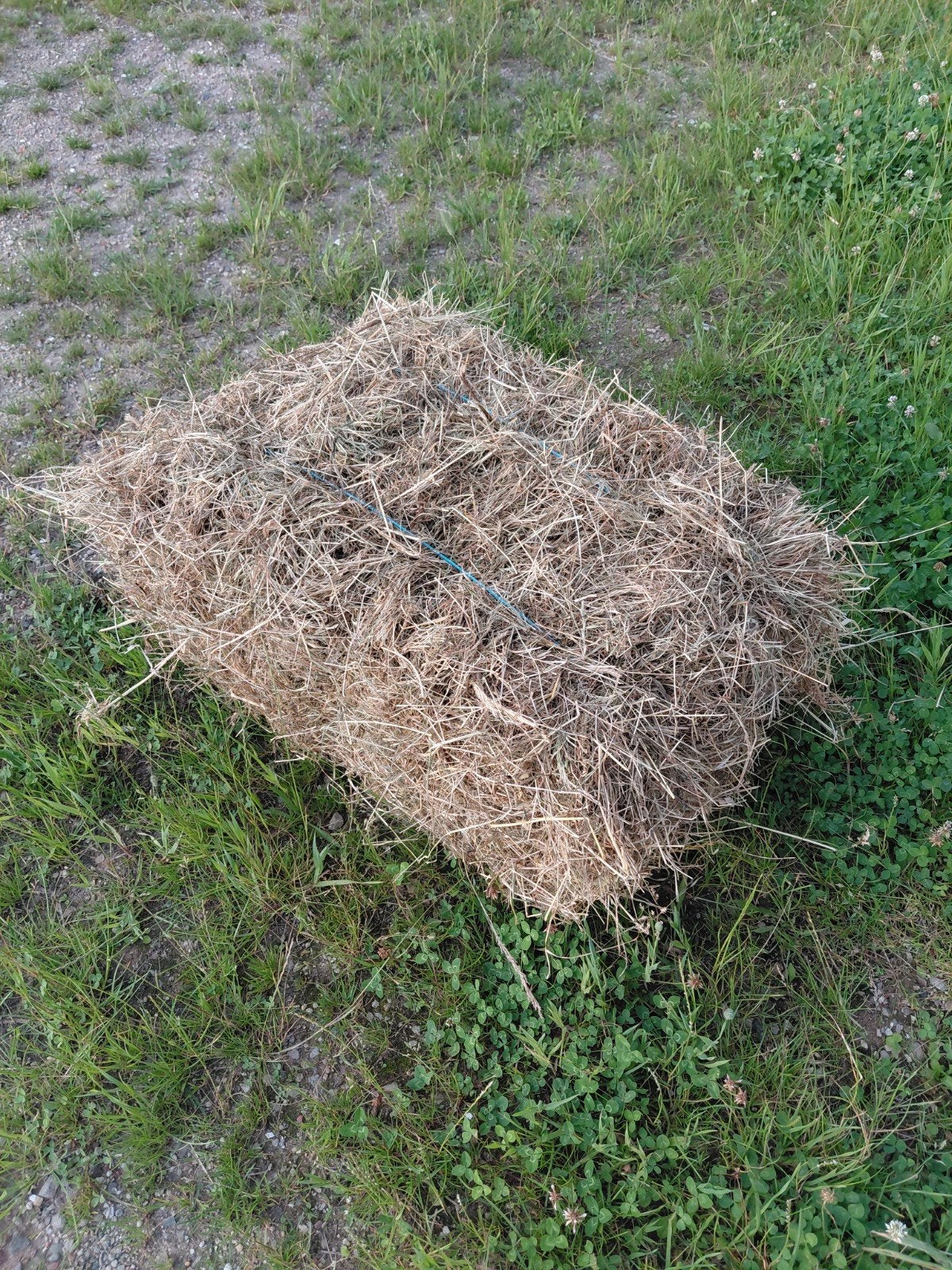 Hooi balen pakjes gras onbespoten biologisch kruidenhooi, Dieren en Toebehoren, Ophalen, Vee