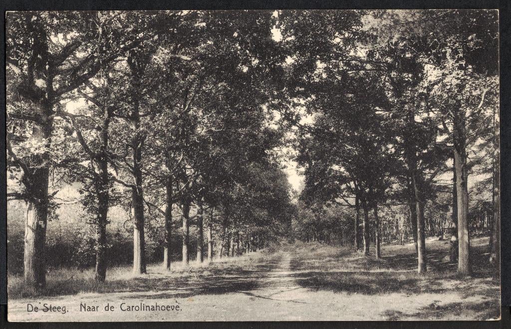 De Steeg, Naar de Carolinahoeve. 1933., Ophalen of Verzenden, 1920 tot 1940, Gelopen, Gelderland