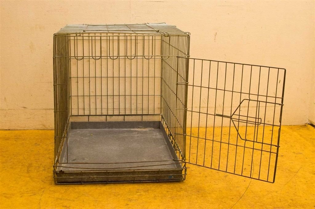 Honden bench 47167, Ophalen of Verzenden, Gebruikt