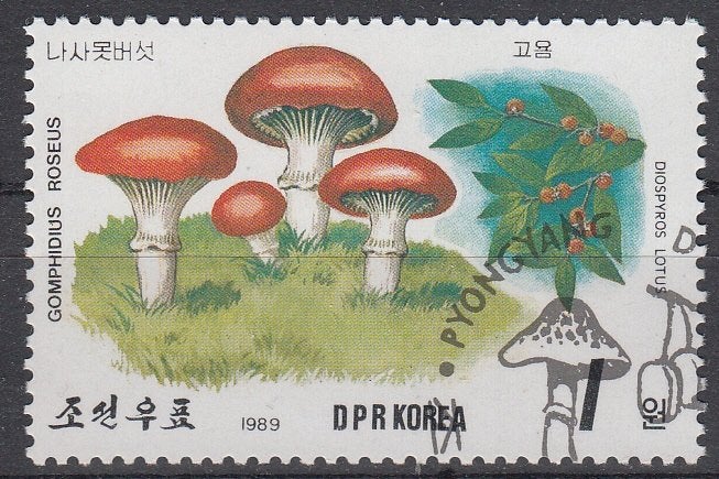 217 - Noord Korea michel 3005 gestempeld , Paddenstoelen, Verzenden, Gestempeld, Oost-Azië