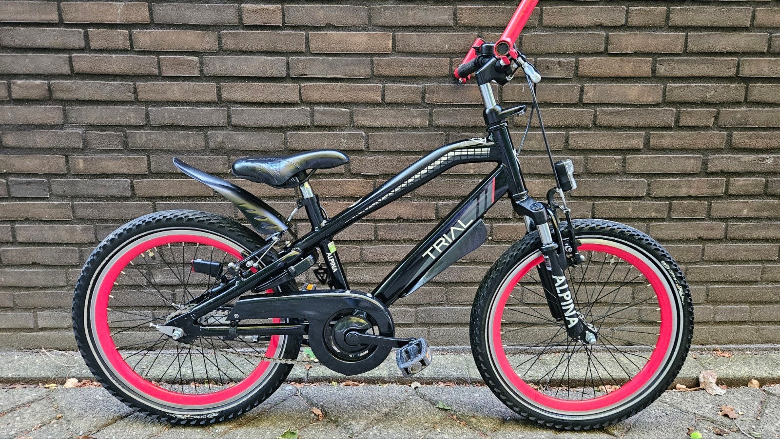 Alpina Trial 20 inch, Ophalen, Terugtraprem, Gebruikt, Batavus Snake Alpina Trial