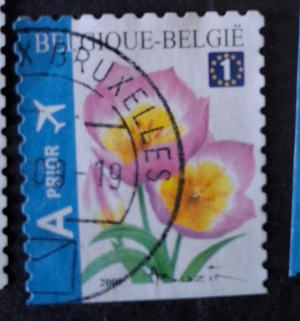 België 501, Ophalen of Verzenden