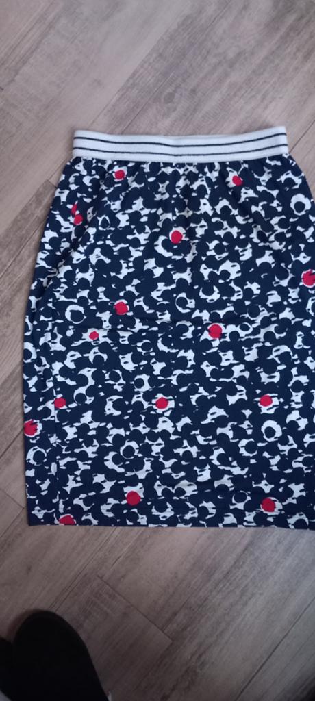 Leuke rok met print van &Co Woman, maat M, Kleding | Dames, Rokken, Zo goed als nieuw, Maat 38/40 (M), Blauw, Boven de knie, Ophalen of Verzenden