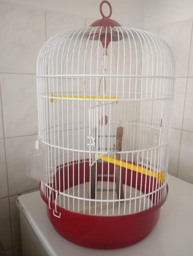Vogelkooi, Dieren en Toebehoren, Ophalen of Verzenden, Zo goed als nieuw, Metaal, Vogelkooi