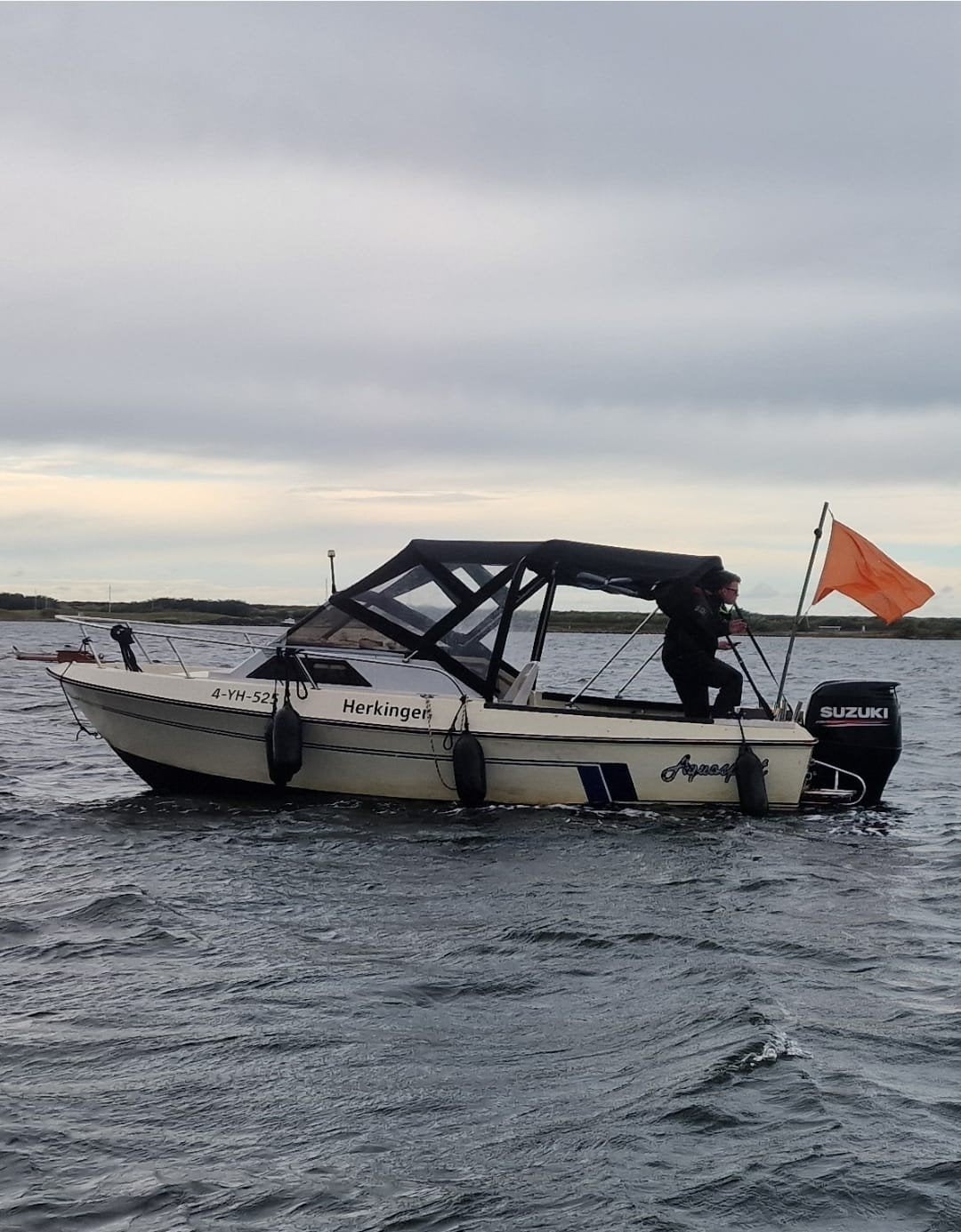 Motorboot met trailer, krachtige 150pk Suzuki buitenb, Watersport en Boten, Motorboten en Motorjachten, Overige merken, Gebruikt