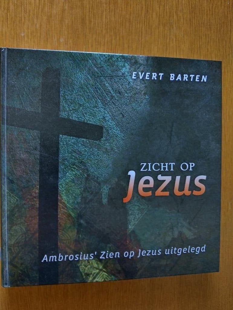 Nr. 373 Evert Barten, Zicht op Jezus, Boeken, Christendom | Protestants, Ophalen of Verzenden, Zo goed als nieuw, Barten, Evert