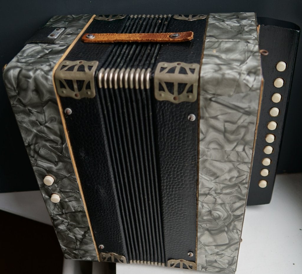 harmonica Eenrijer, Muziek en Instrumenten, Overige merken, Gebruikt, Met riemen, Overige formaten