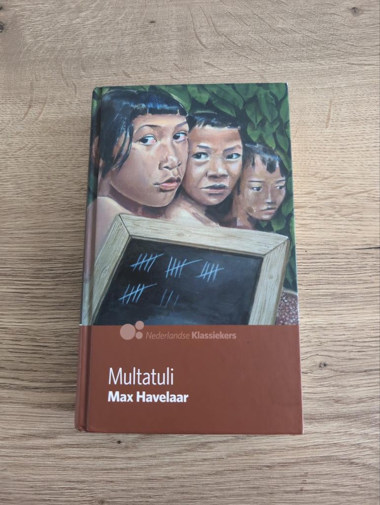 Multatuli Max Havelaar, Boeken, Literatuur, Ophalen of Verzenden