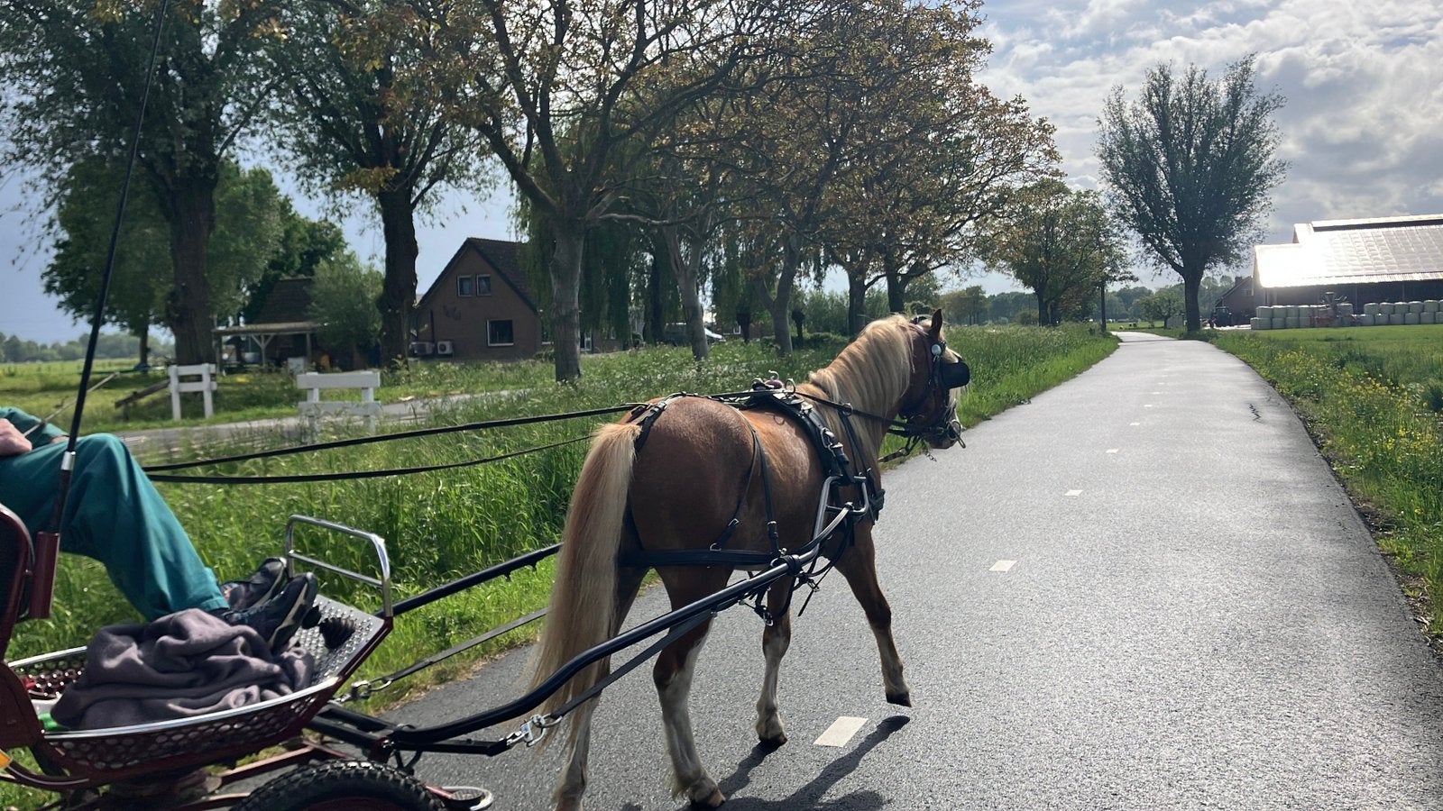 2 super lieve ponies te koop!, Met stamboom, Minder dan 160 cm, Zadelmak, 3 tot 6 jaar