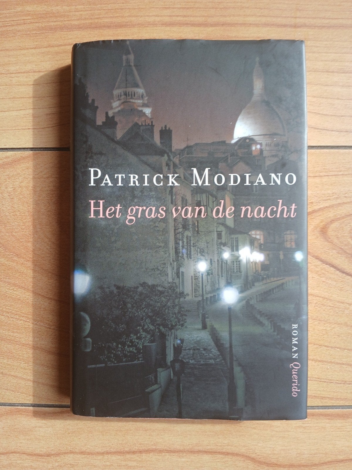 Patrick Modiano - Het gras van de nacht, Boeken, Europa overig, Patrick Modiano, Ophalen of Verzenden, Zo goed als nieuw