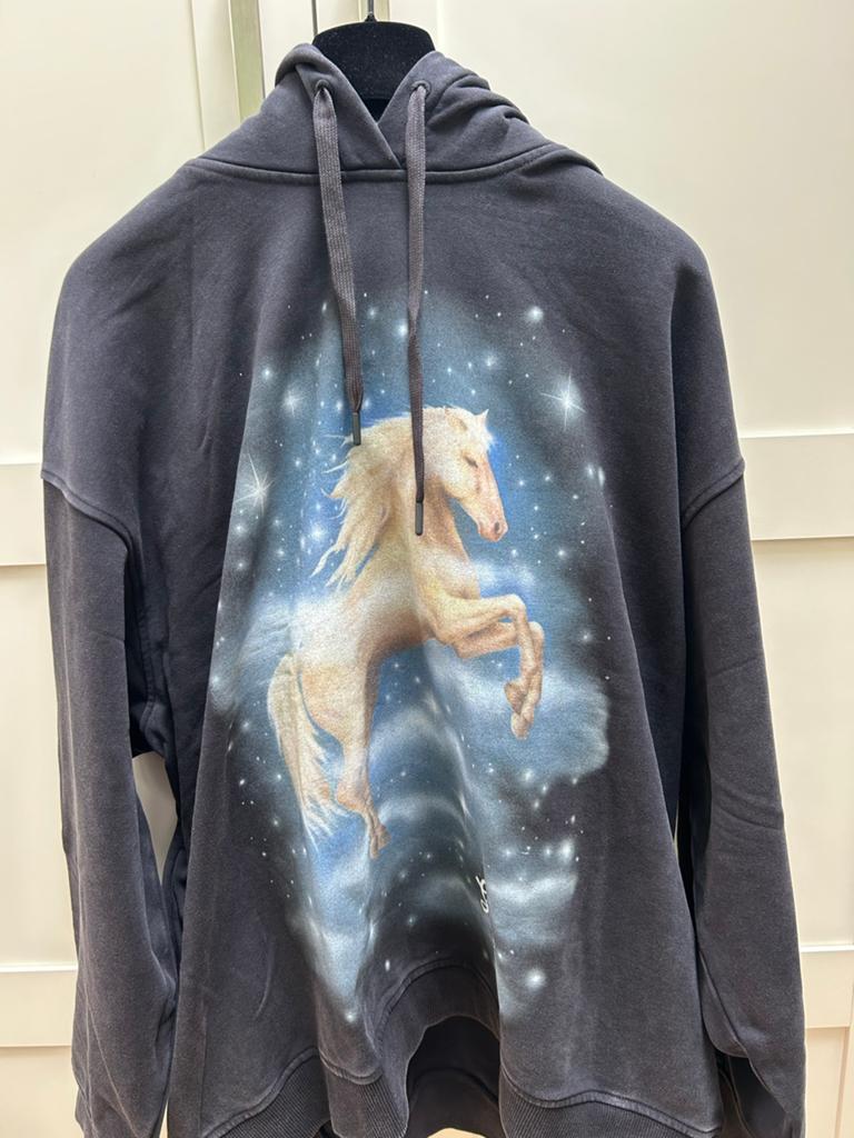 Stella McCartney Hoodie XL Nieuw met Paardenprint, Ophalen of Verzenden, Nieuw, Maat 46/48 (XL) of groter, Zwart