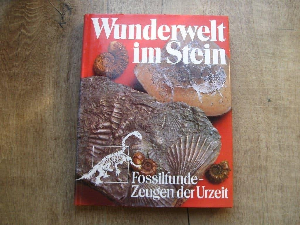 Wunderwelt im stein, Ophalen of Verzenden, Fossiel