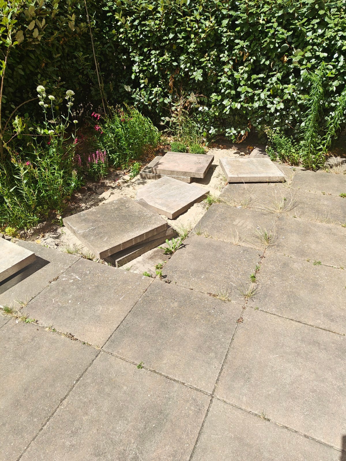 35 betonnen terrastegels 60x60x6 cm - Gratis afhalen, Ophalen, Gebruikt, Beton, Terrastegels