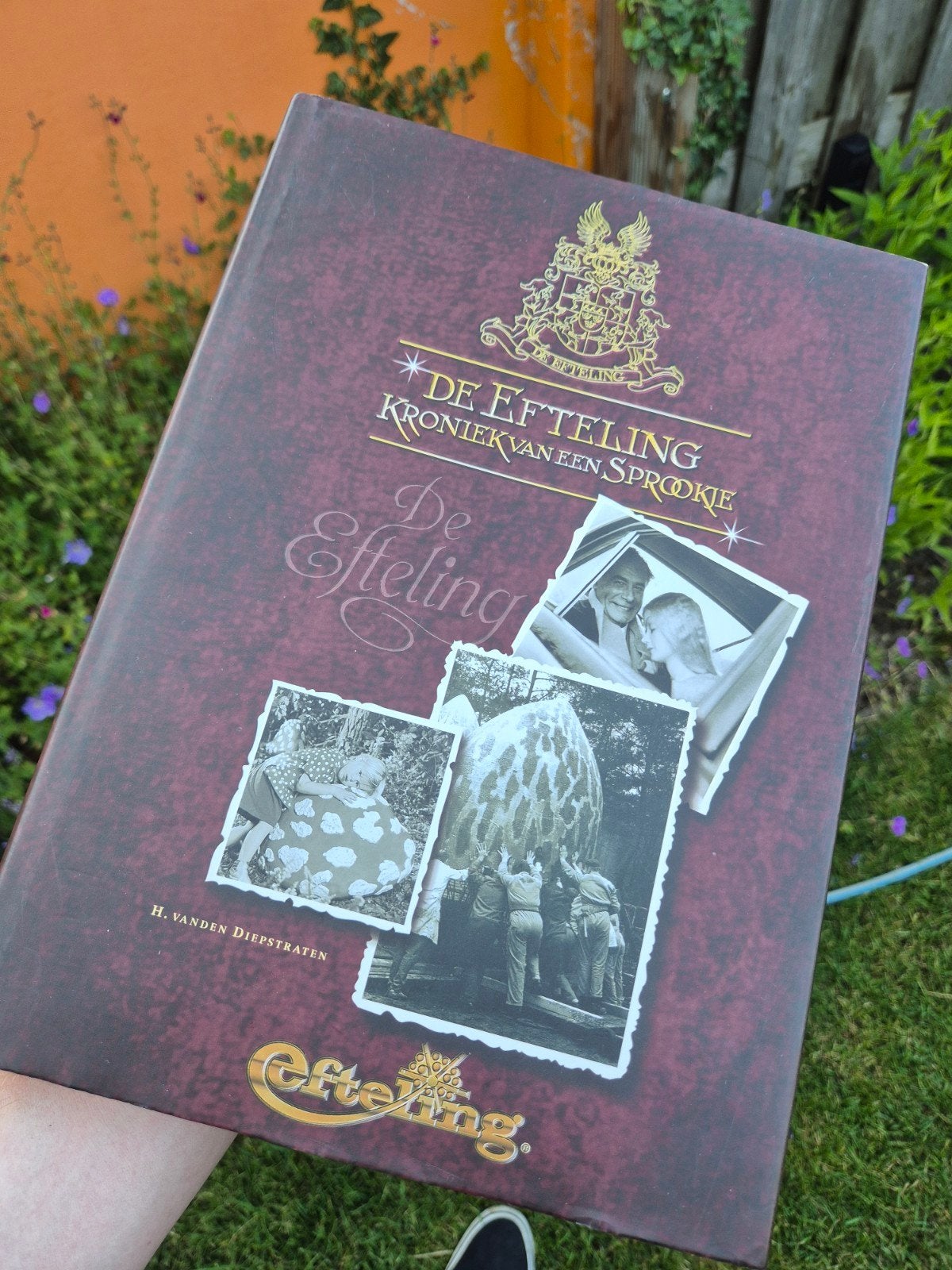 De Efteling Kroniek van een Sprookje, Ophalen of Verzenden, Zo goed als nieuw, H. van den Diepstraten
