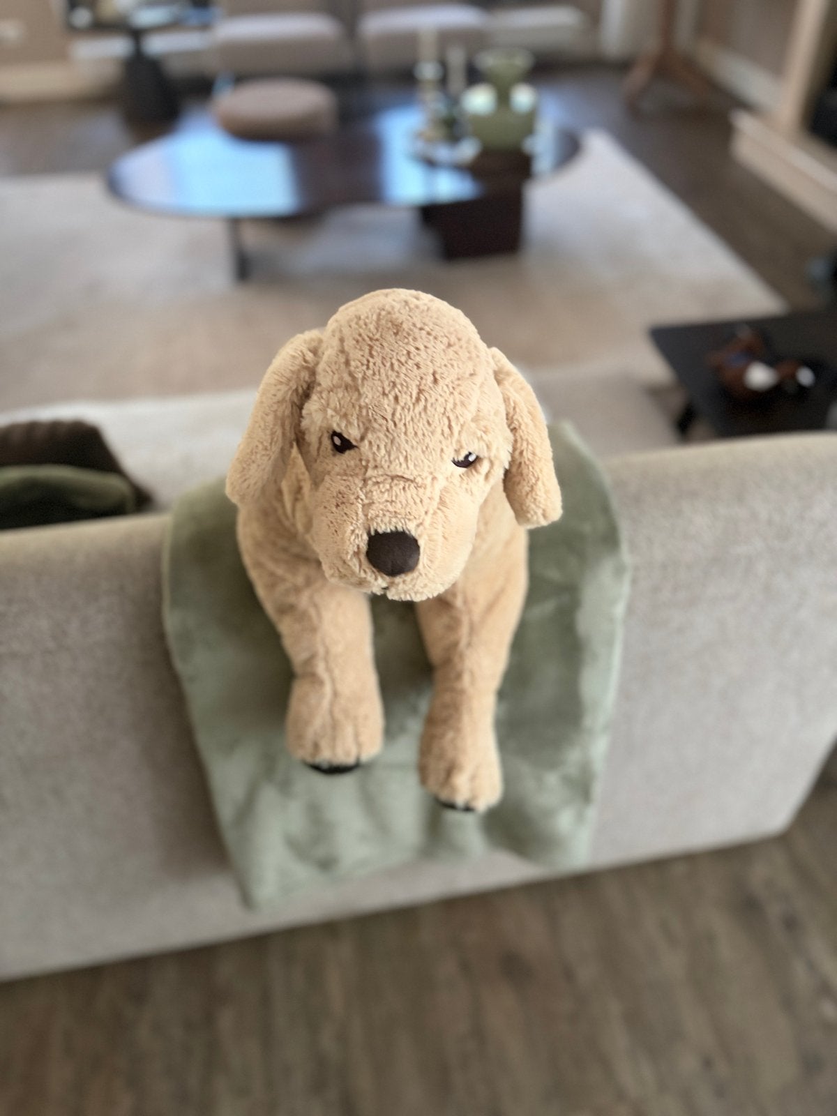Grote knuffelhond - Labrador Retriever, Ophalen, Hond, Zo goed als nieuw, Middelgroot (20 tot 80 cm)
