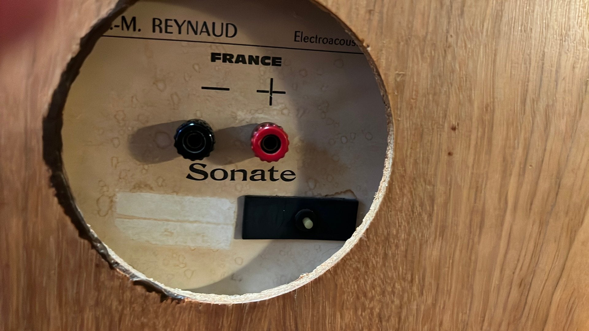 Jean-Marie Reynaud Sonate, Stereo speakers, Gebruikt, 60 tot 120 watt, Nvt