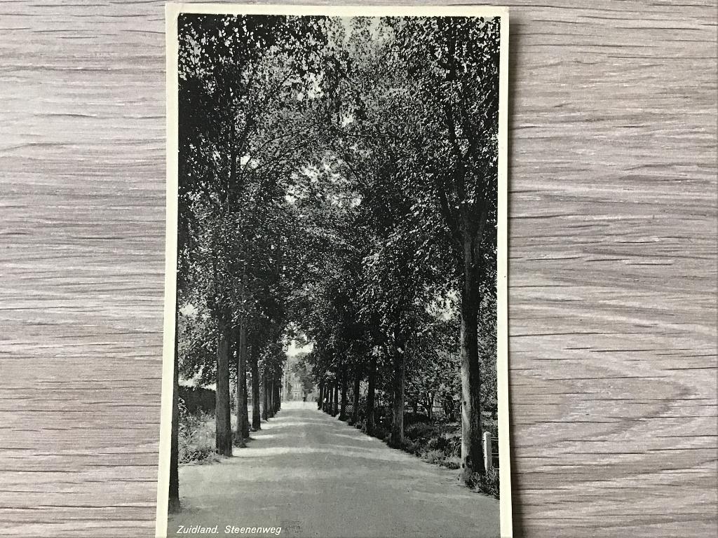 Zuidland Steenenweg Bomenlaan ca 1930-35, Verzamelen, Ansichtkaarten | Nederland, Verzenden, 1920 tot 1940, Ongelopen, Zuid-Holland