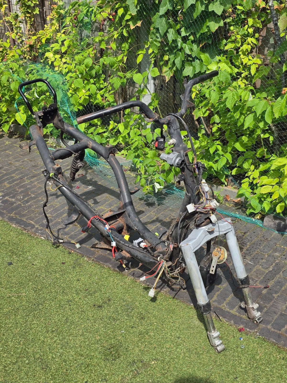 Peugeot vivacity frame blauw kenteken, Ophalen, Gebruikt, Minder dan 49 cm, Minder dan 10 versnellingen