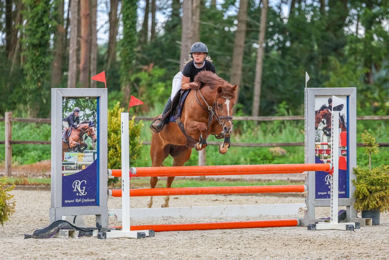 Talentvolle 4 jarige springpony!, Merrie, Met stamboom, Springpony, 3 tot 6 jaar