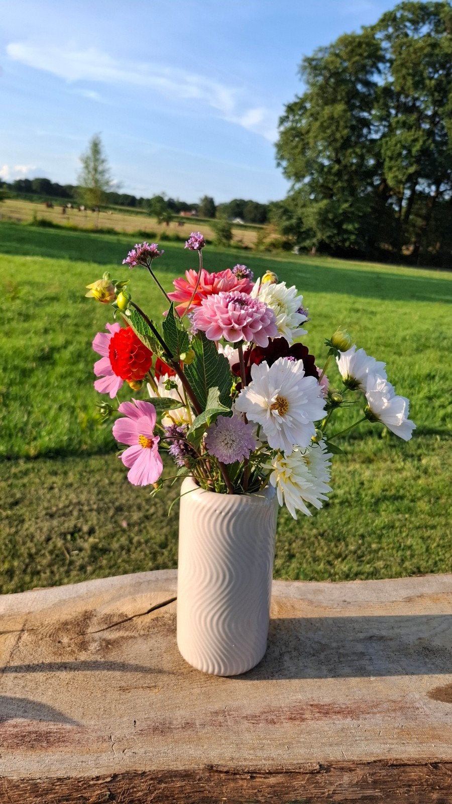 Verse plukboeketten op bestelling uit eigen tuin, Tuin en Terras, Planten | Tuinplanten, Overige soorten, Volle zon, Eenjarig