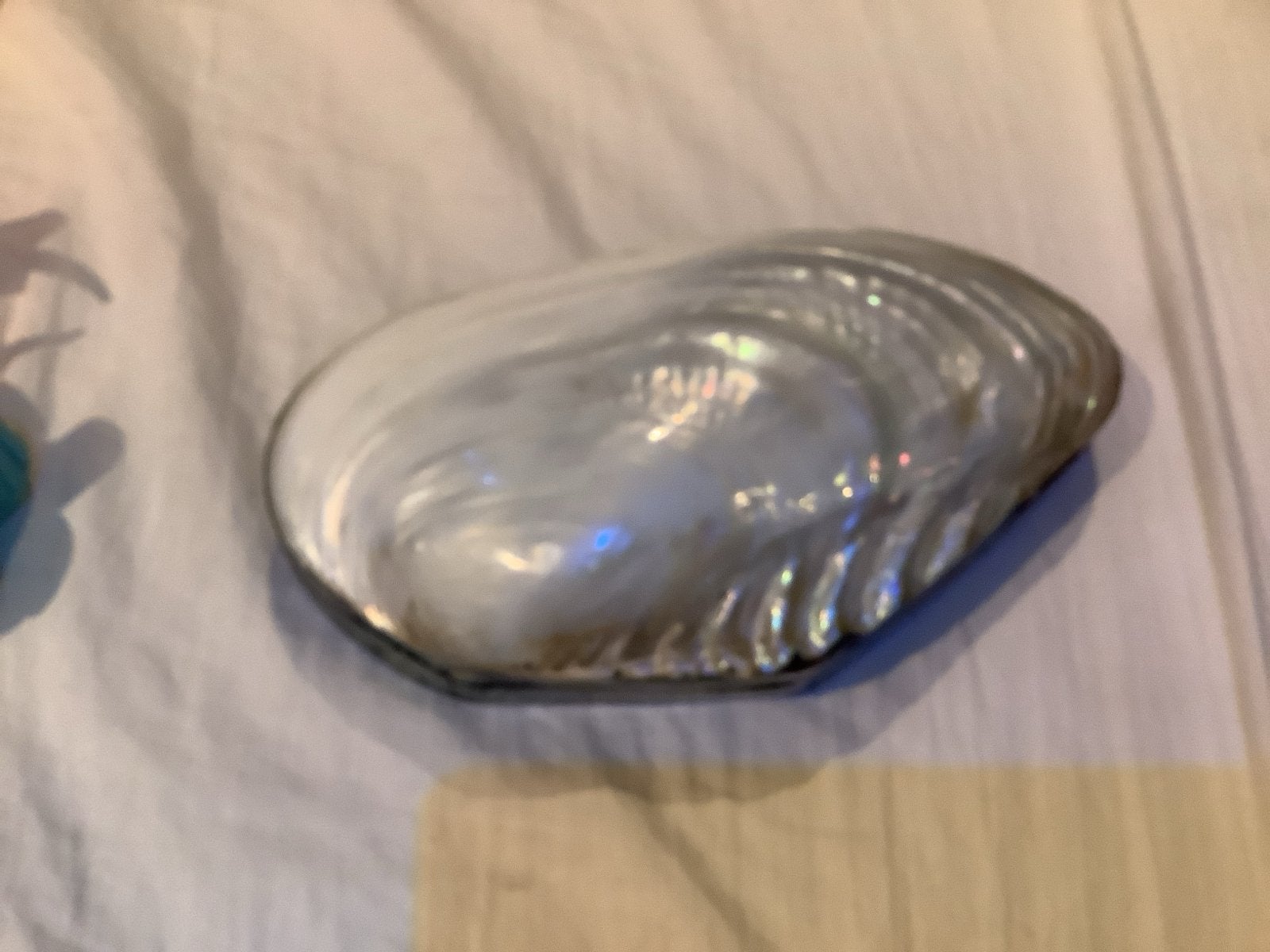 Decoratieve schelp bakje met iriserende binnenkant, Gebruikt, Meerkleurig, Overige stijlen, Ophalen of Verzenden