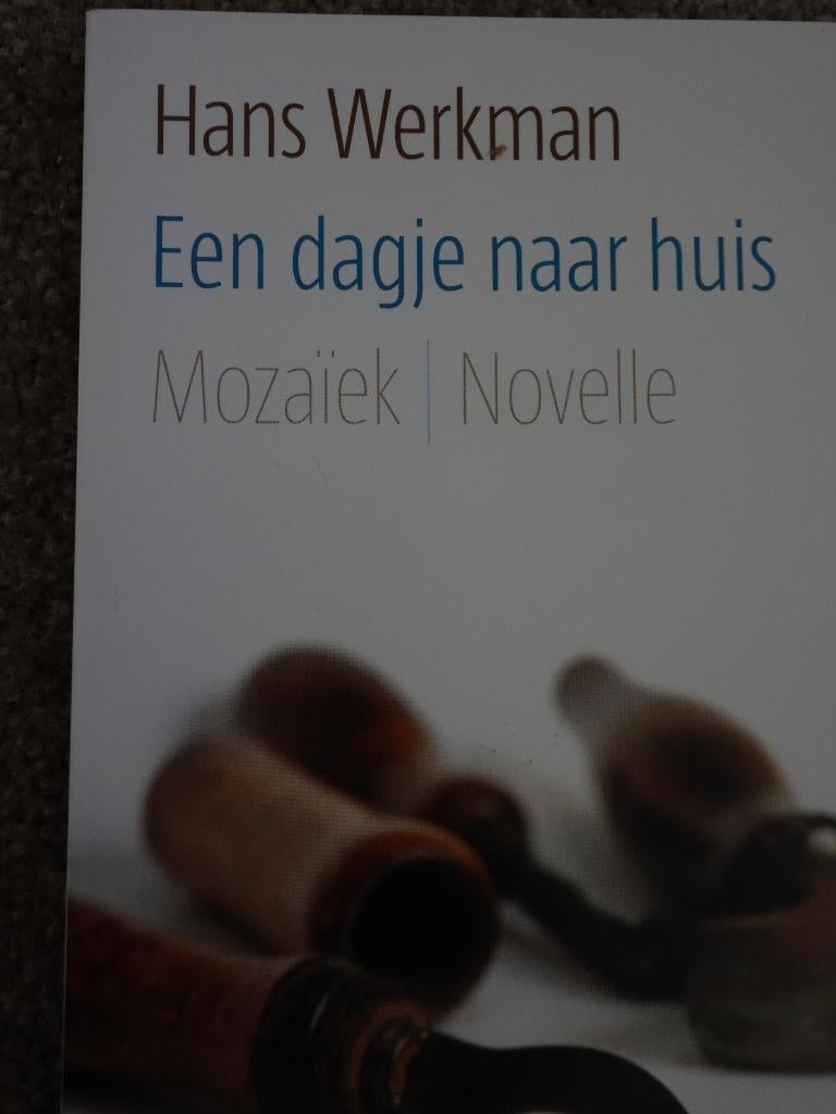 Hans Werkman, Een dagje naar huis, Boeken, Ophalen of Verzenden, Gelezen