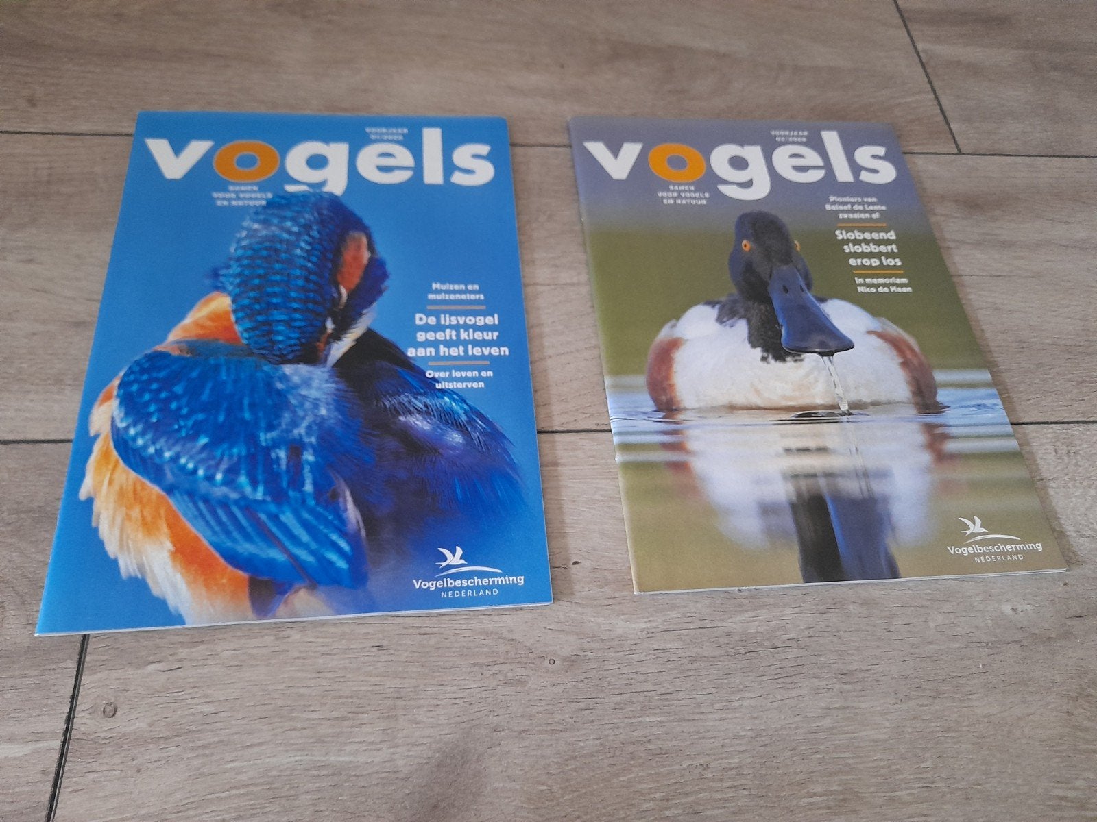 2x nieuw tijdschrift Vogels 01/2026 en 02/2026, Ophalen of Verzenden, Nieuw, Wetenschap en Natuur